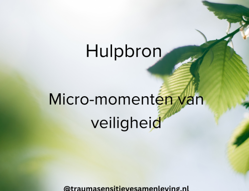 Micro-momenten van veiligheid