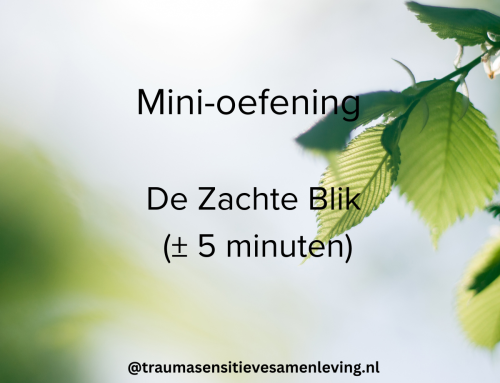 Mini-oefening: De Zachte Blik