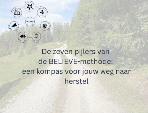 Jij bent deelgenoot van de samenleving – de BELIEVE-methode